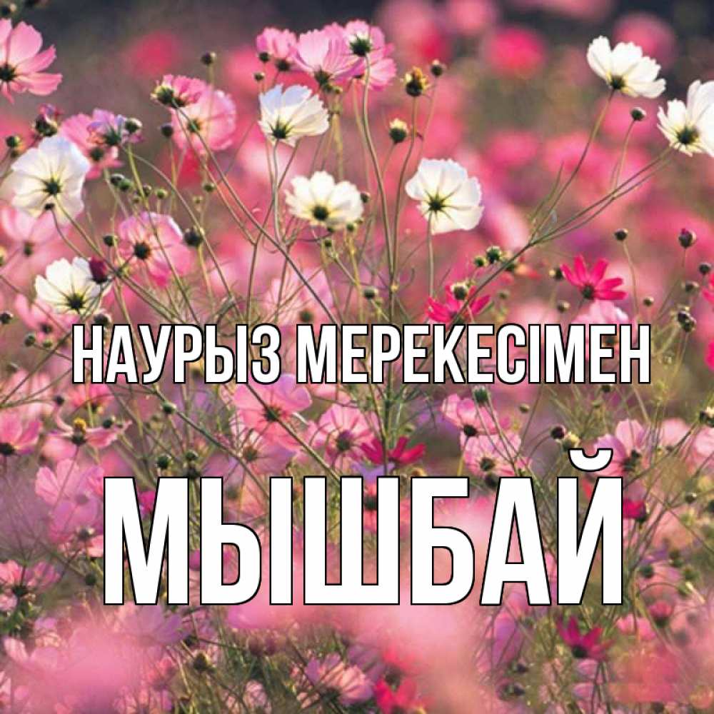 Күн сайын ашық хат с именем, МЫШБАЙ Наурыз мерекесімен красиво 1 Онлайн тегін жүктеп алу тілектері бар керемет карта 