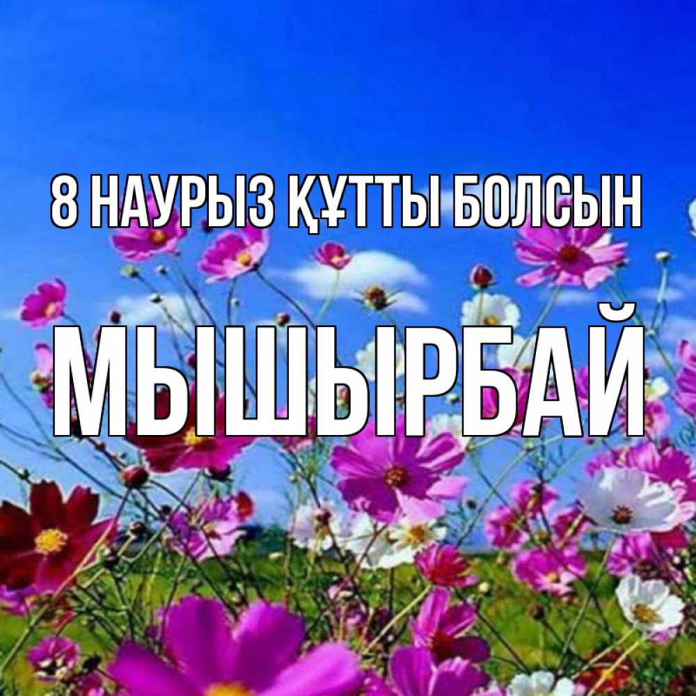 Күн сайын ашық хат с именем, МЫШЫРБАЙ 8 наурыз құтты болсын цветы Онлайн тегін жүктеп алу тілектері бар керемет карта 
