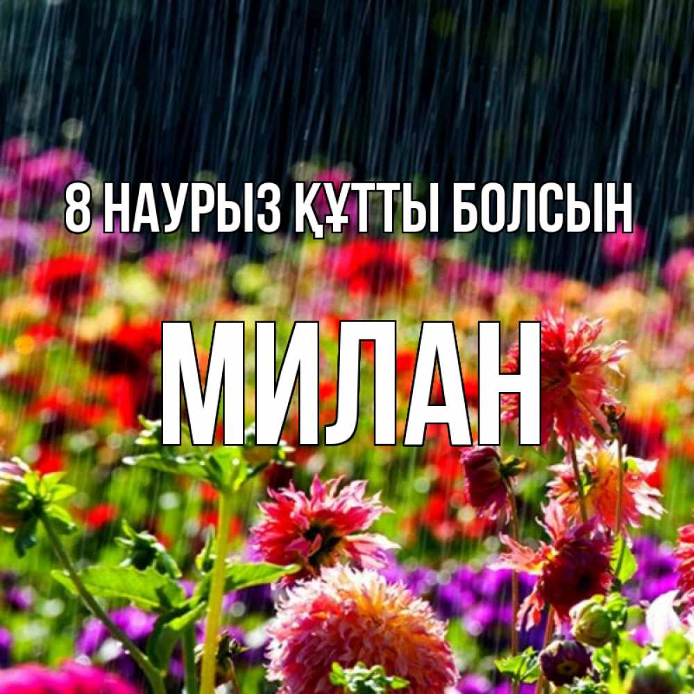Күн сайын ашық хат с именем, Милан 8 наурыз құтты болсын цветы под дождиком к международному женскому дню Онлайн тегін жүктеп алу тілектері бар керемет карта 