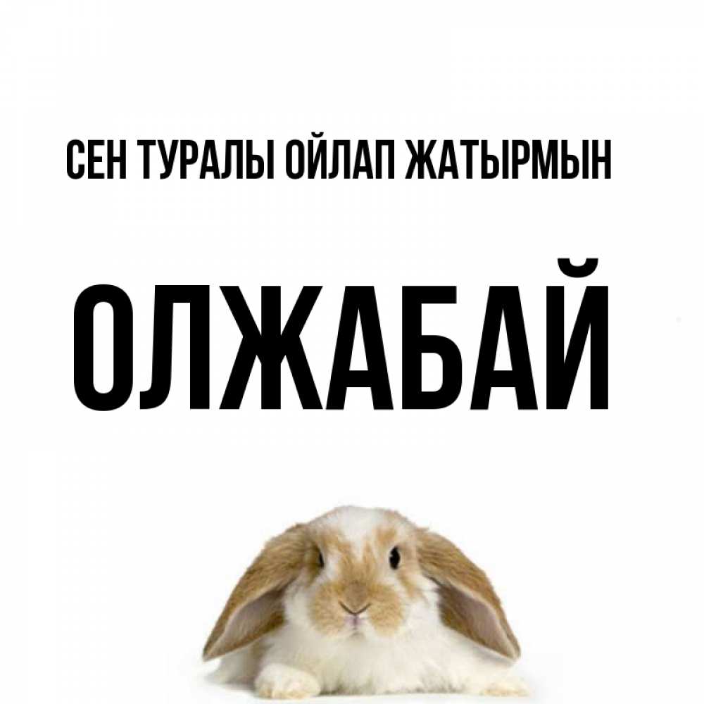 Күн сайын ашық хат с именем, ОЛЖАБАЙ Сен туралы ойлап жатырмын подписать своими руками онлайн Онлайн тегін жүктеп алу тілектері бар керемет карта 