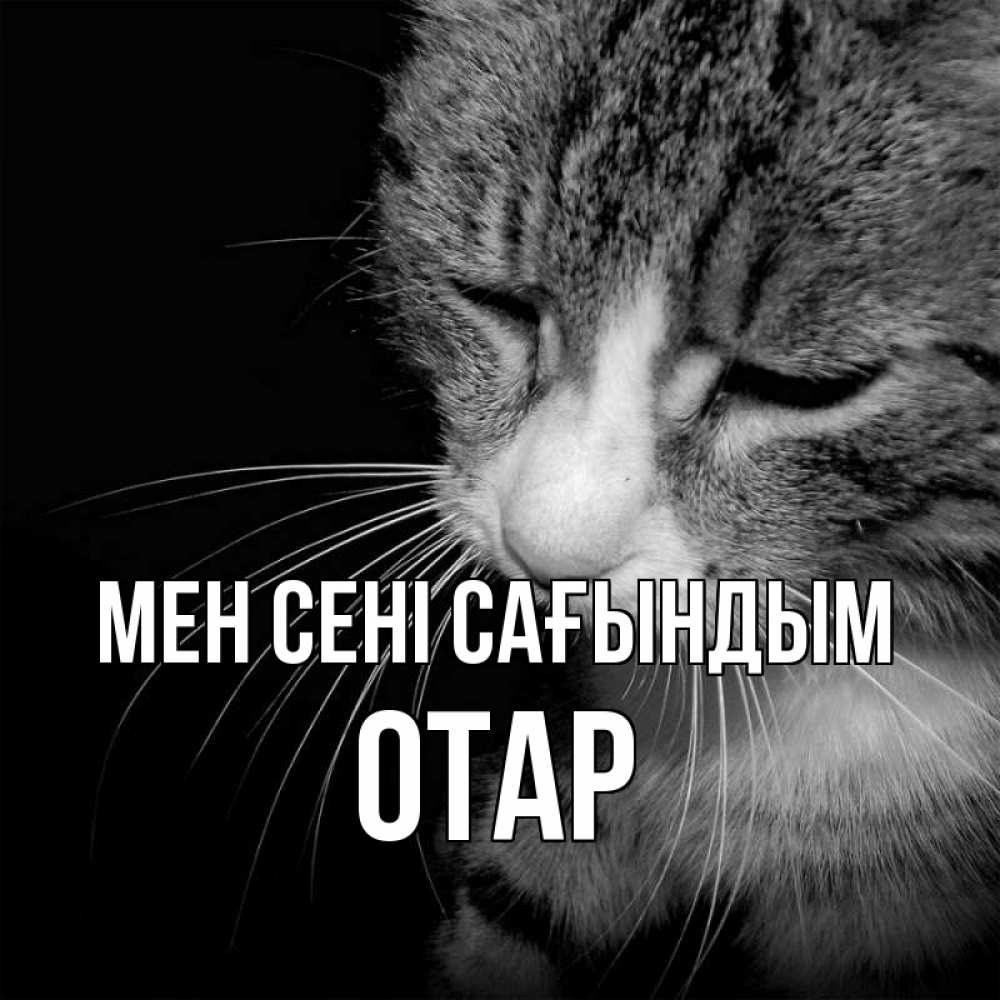 Күн сайын ашық хат с именем, ОТАР Мен сені сағындым мне скучно Онлайн тегін жүктеп алу тілектері бар керемет карта 