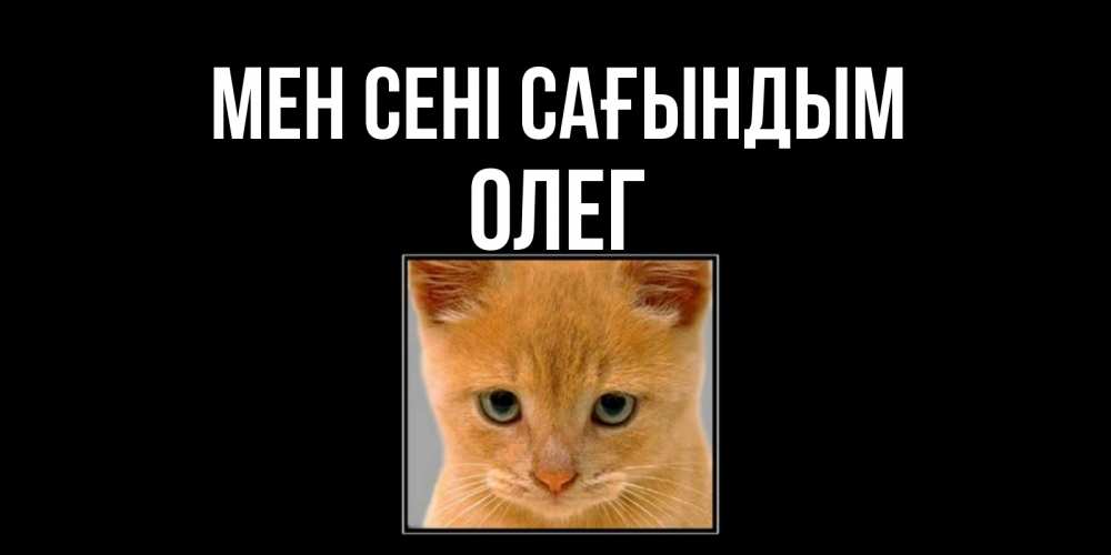 Күн сайын ашық хат с именем, Олег Мен сені сағындым открытки рыжий котенок скучает по тебе Онлайн тегін жүктеп алу тілектері бар керемет карта 