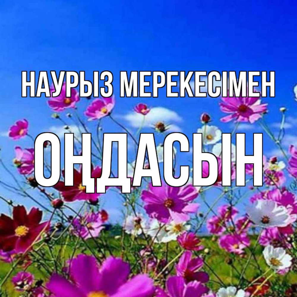 Күн сайын ашық хат с именем, ОҢДАСЫН Наурыз мерекесімен цветы Онлайн тегін жүктеп алу тілектері бар керемет карта 
