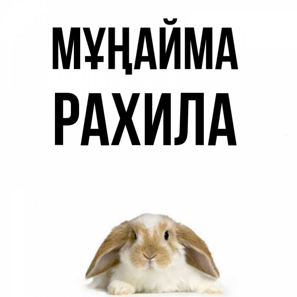 Күн сайын ашық хат с именем, РАХИЛА Мұңайма коричнево белый заяц с большими ушками Онлайн тегін жүктеп алу тілектері бар керемет карта 