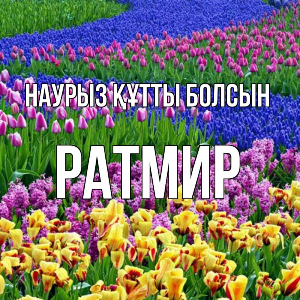 Күн сайын ашық хат с именем, Ратмир Наурыз құтты болсын цветы Онлайн тегін жүктеп алу тілектері бар керемет карта 