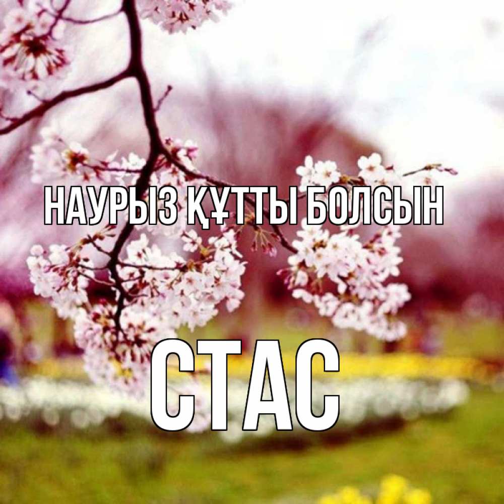 Күн сайын ашық хат с именем, Стас Наурыз құтты болсын яблоня Онлайн тегін жүктеп алу тілектері бар керемет карта 