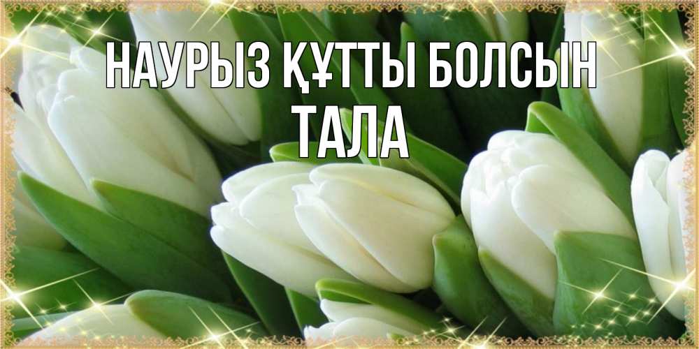 Күн сайын ашық хат с именем, Тала Наурыз құтты болсын поздравляем с наурызом Онлайн тегін жүктеп алу тілектері бар керемет карта 