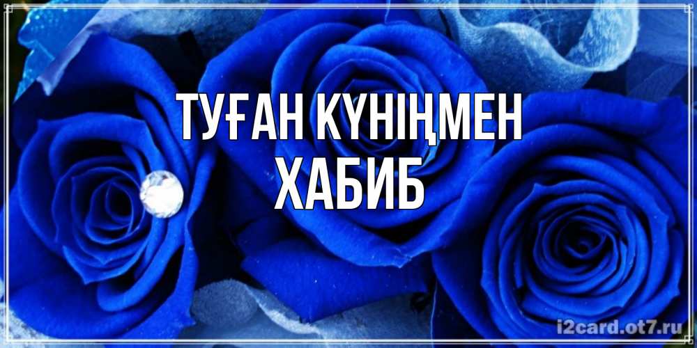 Күн сайын ашық хат с именем, ХАБИБ Туған күніңмен синие розы в росе Онлайн тегін жүктеп алу тілектері бар керемет карта 