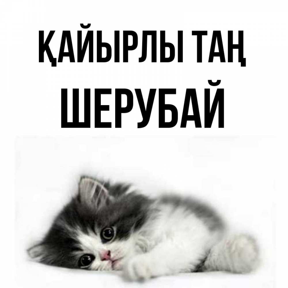 Күн сайын ашық хат с именем, ШЕРУБАЙ Қайырлы таң кот лапки Онлайн тегін жүктеп алу тілектері бар керемет карта 