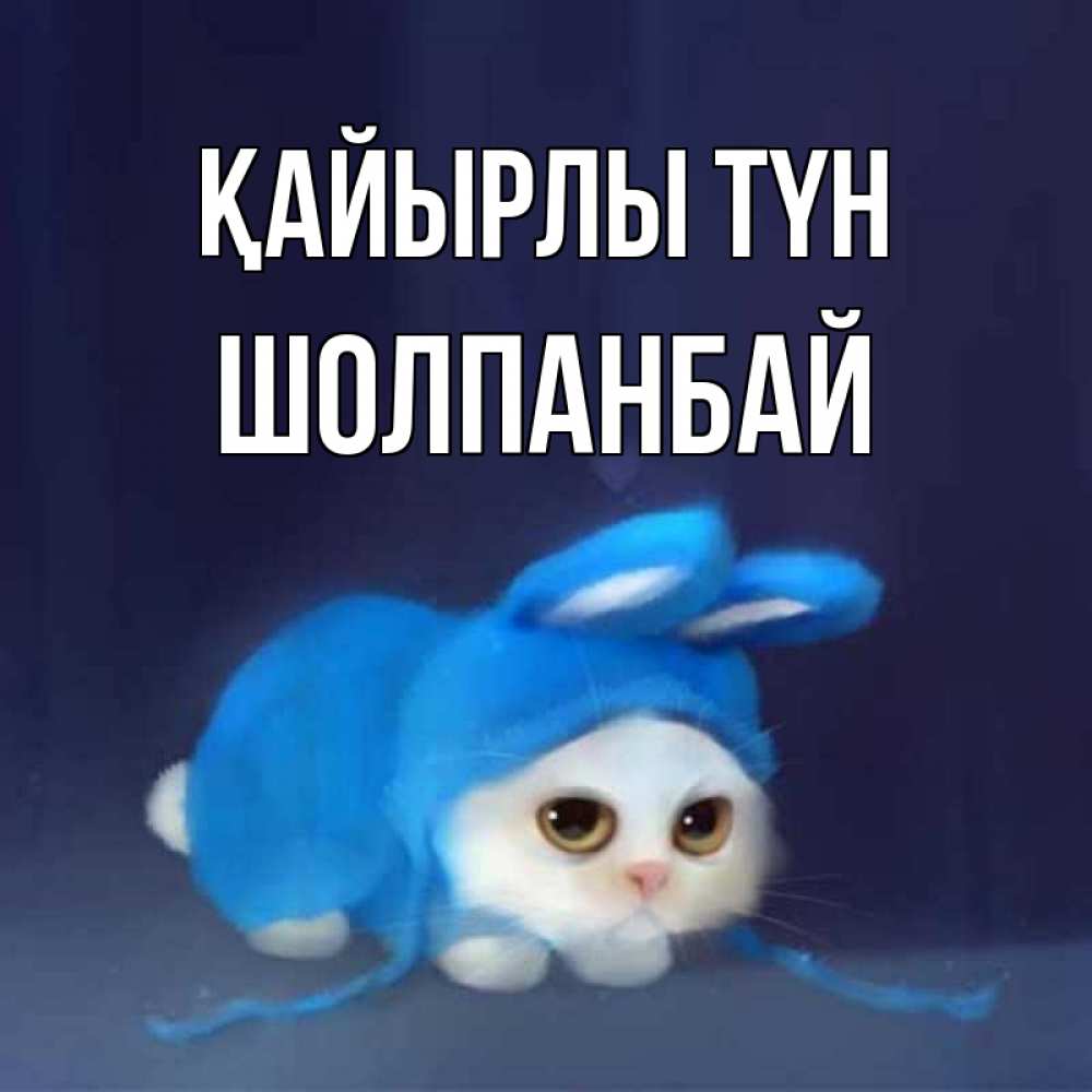 Күн сайын ашық хат с именем, ШОЛПАНБАЙ Қайырлы түн кот в голубом костюме кролика с ушками Онлайн тегін жүктеп алу тілектері бар керемет карта 