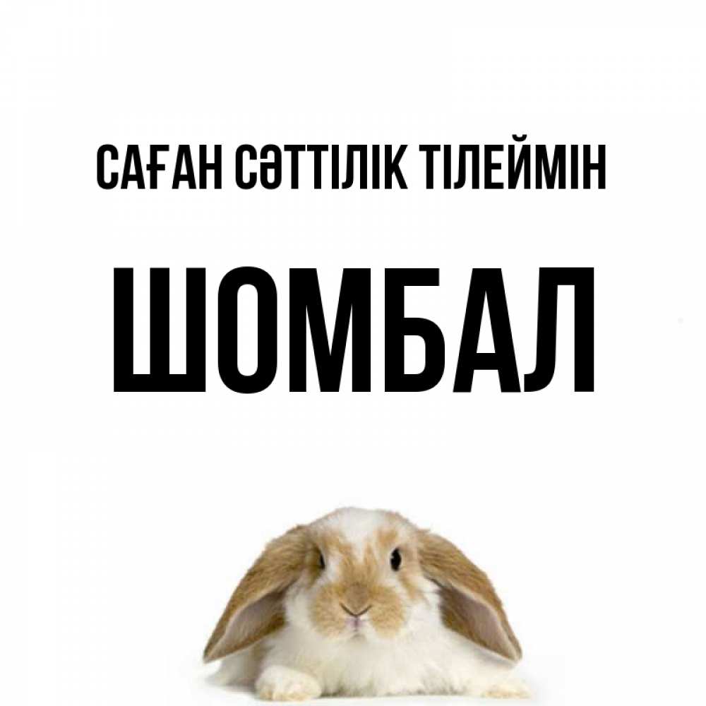 Күн сайын ашық хат с именем, ШОМБАЛ Саған сәттілік тілеймін открытки с произвольным текстом который можно вставить в открытку и создать ее самостоятельно бесплатно онлайн Онлайн тегін жүктеп алу тілектері бар керемет карта 