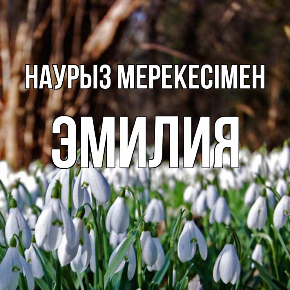 Күн сайын ашық хат с именем, Эмилия Наурыз мерекесімен с подснежниками 1 Онлайн тегін жүктеп алу тілектері бар керемет карта 