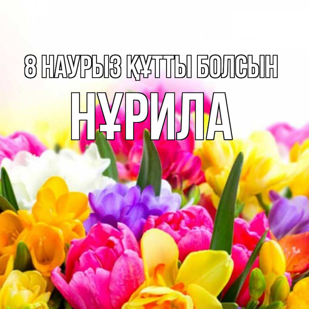 Күн сайын ашық хат с именем, НҰРИЛА 8 наурыз құтты болсын тюльпаны Онлайн тегін жүктеп алу тілектері бар керемет карта 