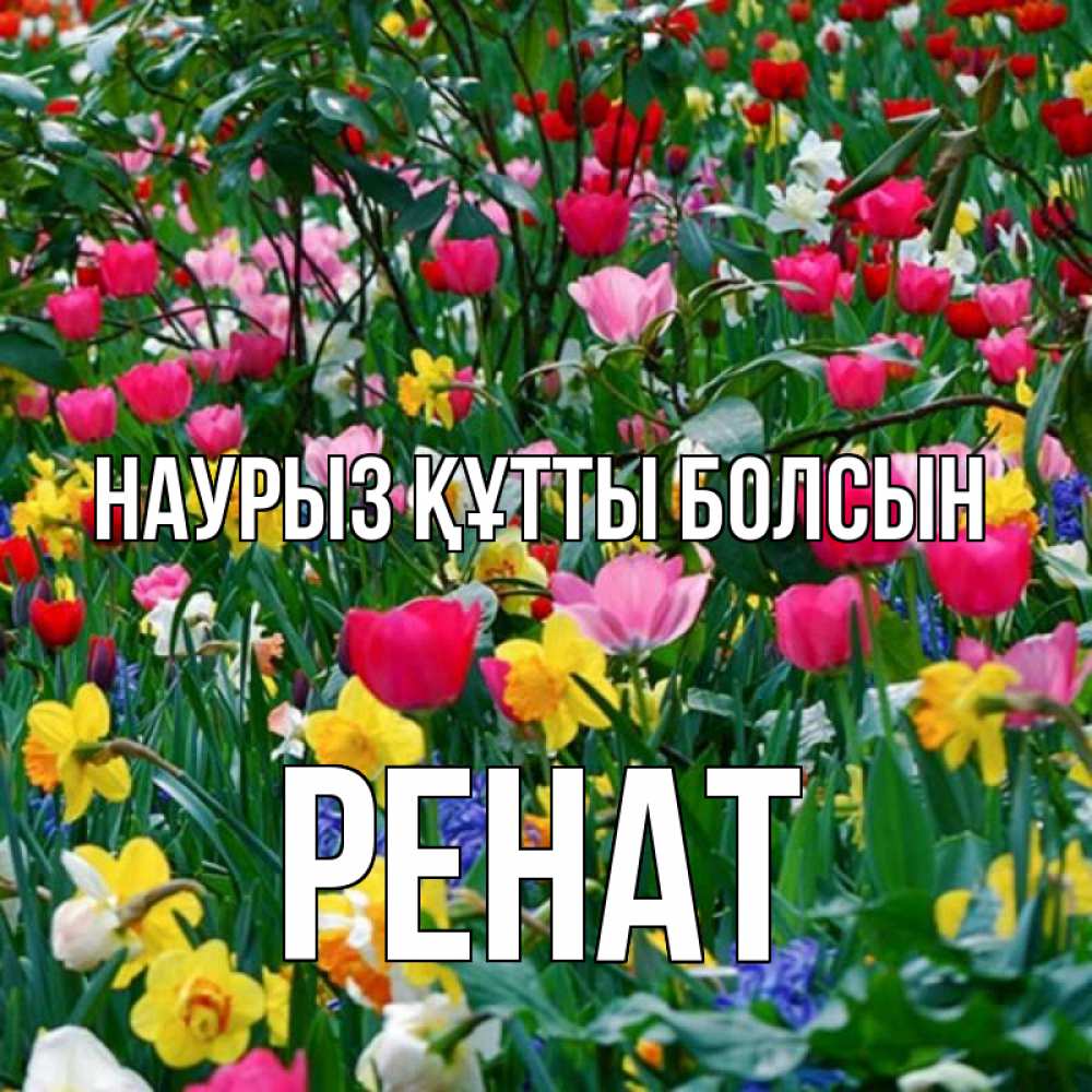 Күн сайын ашық хат с именем, РЕНАТ Наурыз құтты болсын с наурызом поздравления для женщины Онлайн тегін жүктеп алу тілектері бар керемет карта 