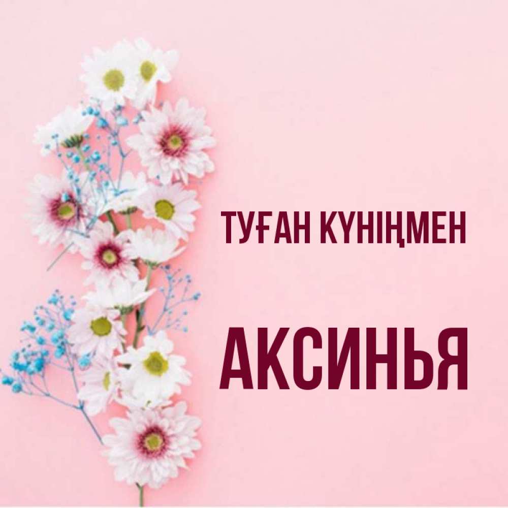 Күн сайын ашық хат с именем, Аксинья Туған күніңмен Родная моя с днем рождения тебя картинка с цветами белыми и голубыми Онлайн тегін жүктеп алу тілектері бар керемет карта 