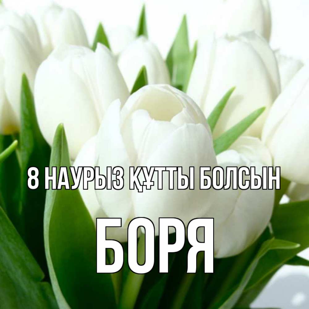 Күн сайын ашық хат с именем, Боря 8 наурыз құтты болсын цветы Онлайн тегін жүктеп алу тілектері бар керемет карта 