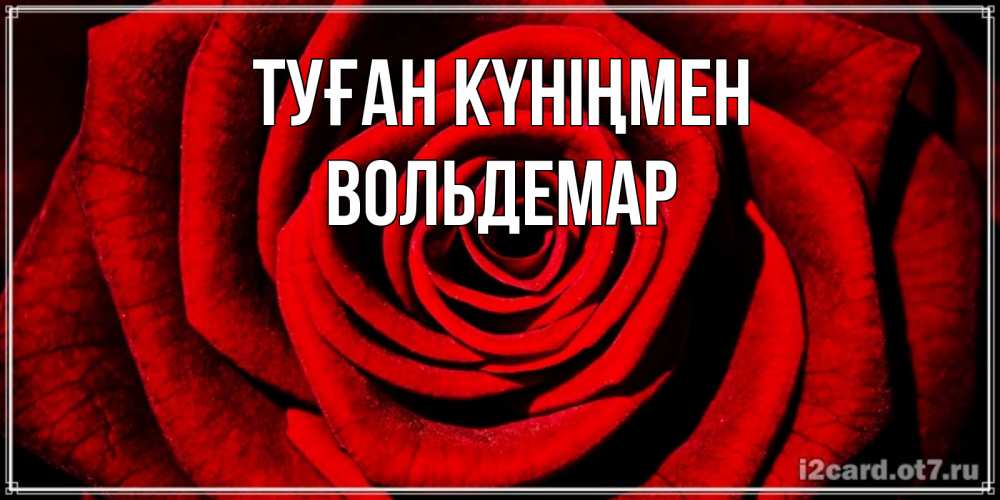 Күн сайын ашық хат с именем, Вольдемар Туған күніңмен алая роза Онлайн тегін жүктеп алу тілектері бар керемет карта 