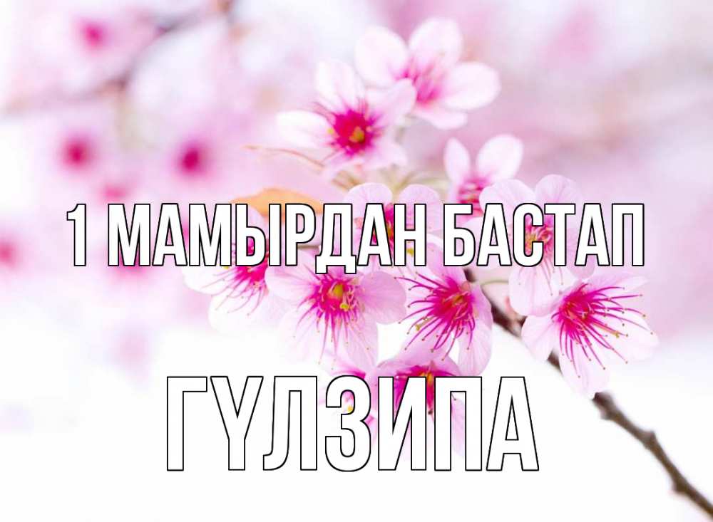 Күн сайын ашық хат с именем, ГҮЛЗИПА 1 мамырдан бастап С 1 мая 2 Онлайн тегін жүктеп алу тілектері бар керемет карта 