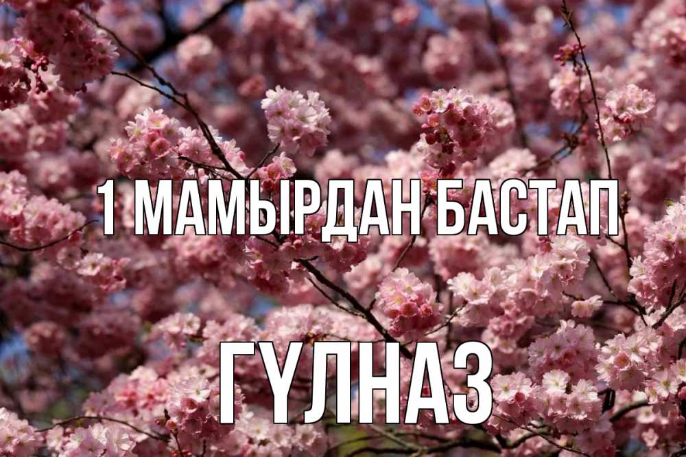 Күн сайын ашық хат с именем, ГҮЛНАЗ 1 мамырдан бастап С 1 мая Онлайн тегін жүктеп алу тілектері бар керемет карта 