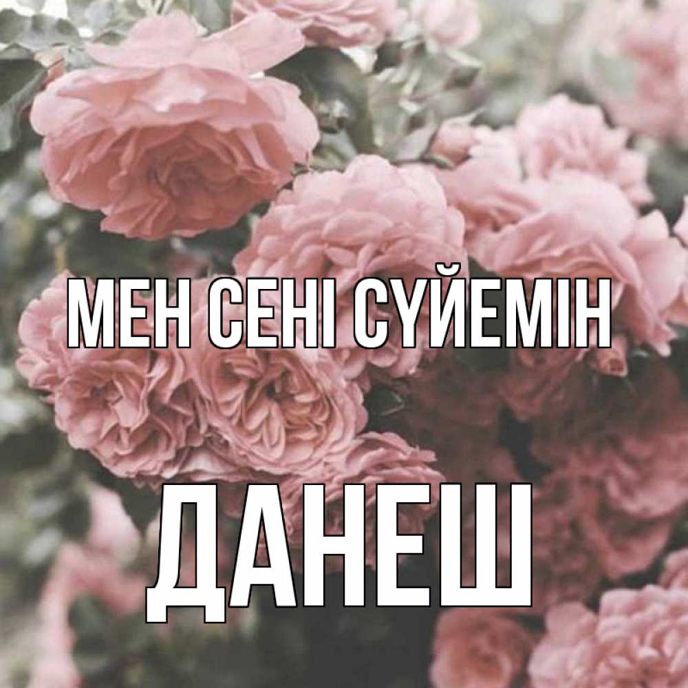 Күн сайын ашық хат с именем, ДАНЕШ Мен сені сүйемін розы 3 Онлайн тегін жүктеп алу тілектері бар керемет карта 