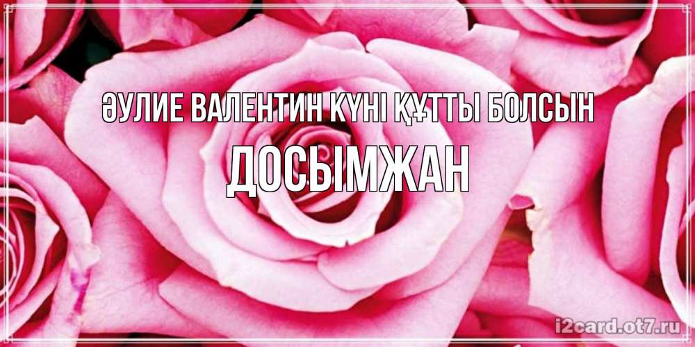 Күн сайын ашық хат с именем, Досымжан Әулие Валентин күні құтты болсын роза розовая на день Святого Валентина Онлайн тегін жүктеп алу тілектері бар керемет карта 