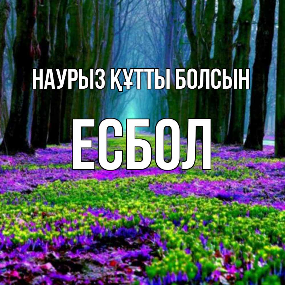 Күн сайын ашық хат с именем, Есбол Наурыз құтты болсын фиолетовые цветы в лесу 1 Онлайн тегін жүктеп алу тілектері бар керемет карта 