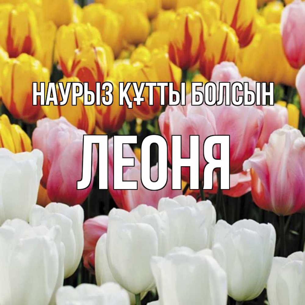 Күн сайын ашық хат с именем, Леоня Наурыз құтты болсын разноцветные цветы Онлайн тегін жүктеп алу тілектері бар керемет карта 