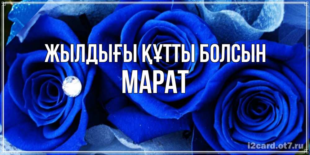 Күн сайын ашық хат с именем, МАРАТ Жылдығы құтты болсын синие розы в росе Онлайн тегін жүктеп алу тілектері бар керемет карта 