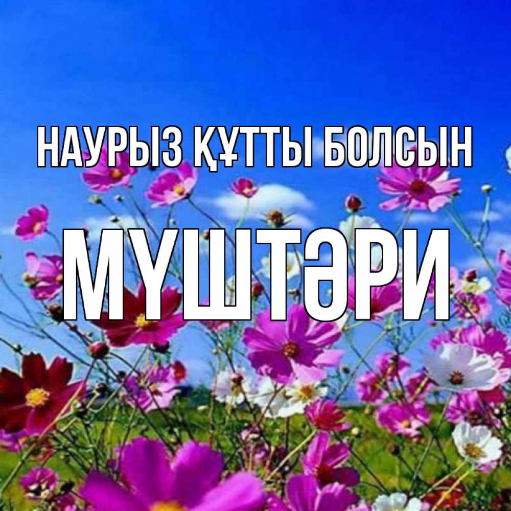 Күн сайын ашық хат с именем, МҮШТӘРИ Наурыз құтты болсын цветы Онлайн тегін жүктеп алу тілектері бар керемет карта 