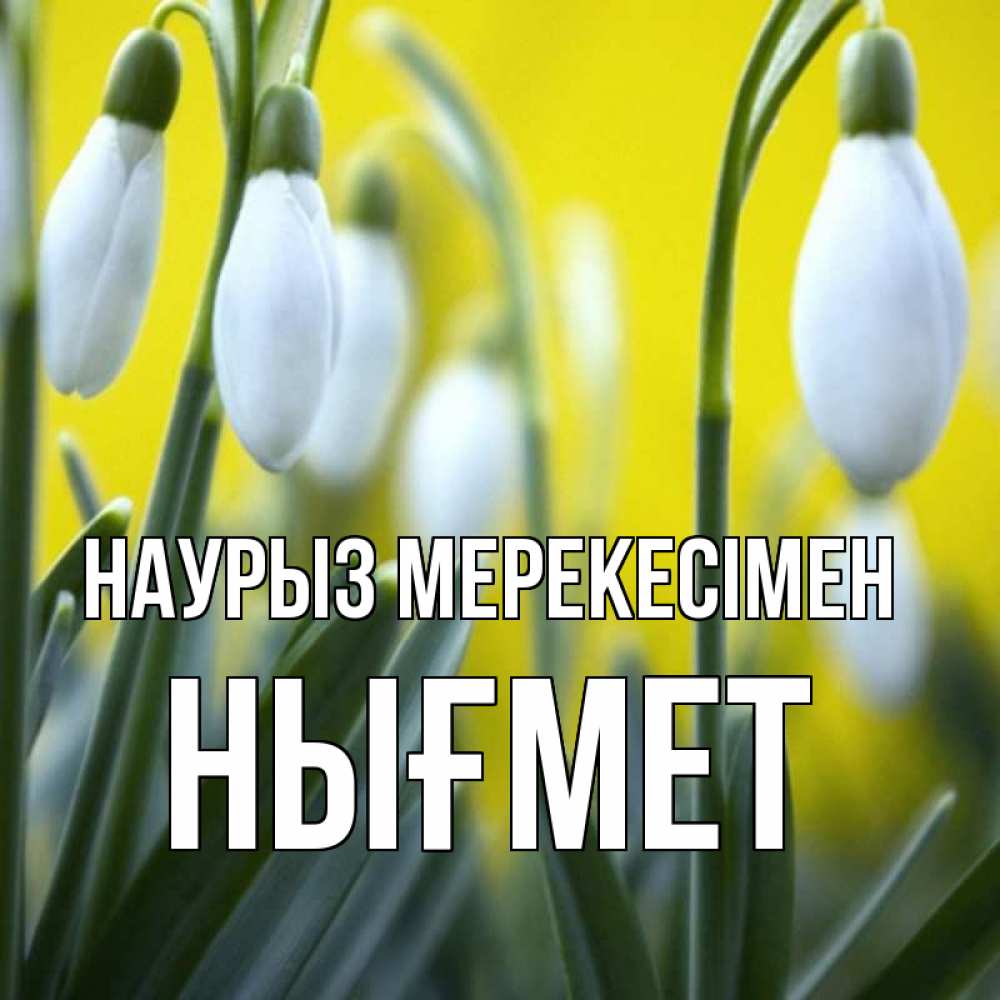 Күн сайын ашық хат с именем, НЫҒМЕТ Наурыз мерекесімен весенние цветы Онлайн тегін жүктеп алу тілектері бар керемет карта 