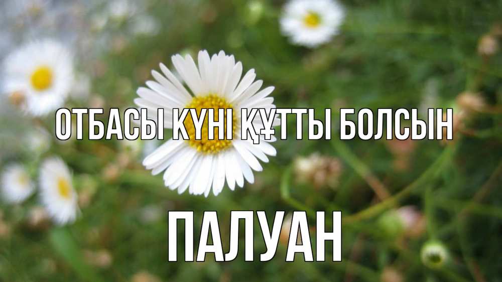 Күн сайын ашық хат с именем, ПАЛУАН отбасы күні құтты болсын с днем семьи Онлайн тегін жүктеп алу тілектері бар керемет карта 