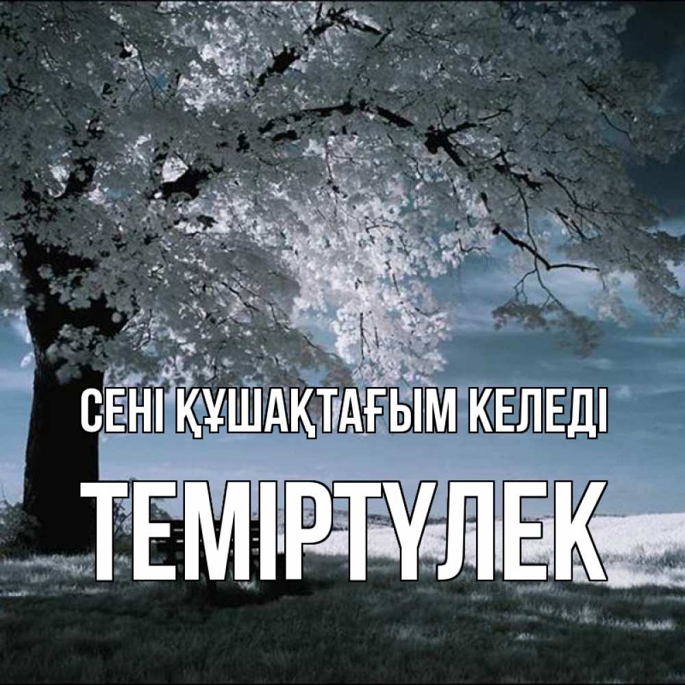 Күн сайын ашық хат с именем, ТЕМІРТҮЛЕК сені құшақтағым келеді дерево Онлайн тегін жүктеп алу тілектері бар керемет карта 