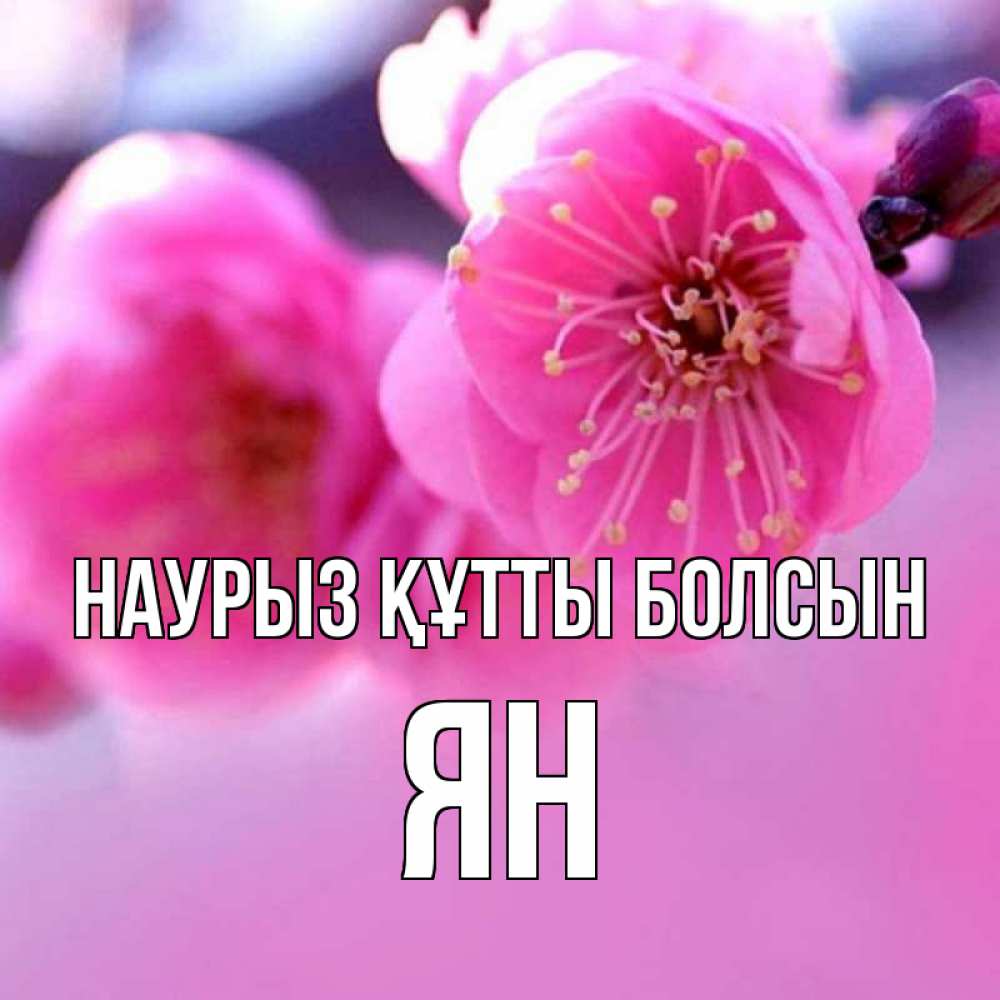 Күн сайын ашық хат с именем, Ян Наурыз құтты болсын наурыз мейрам Онлайн тегін жүктеп алу тілектері бар керемет карта 