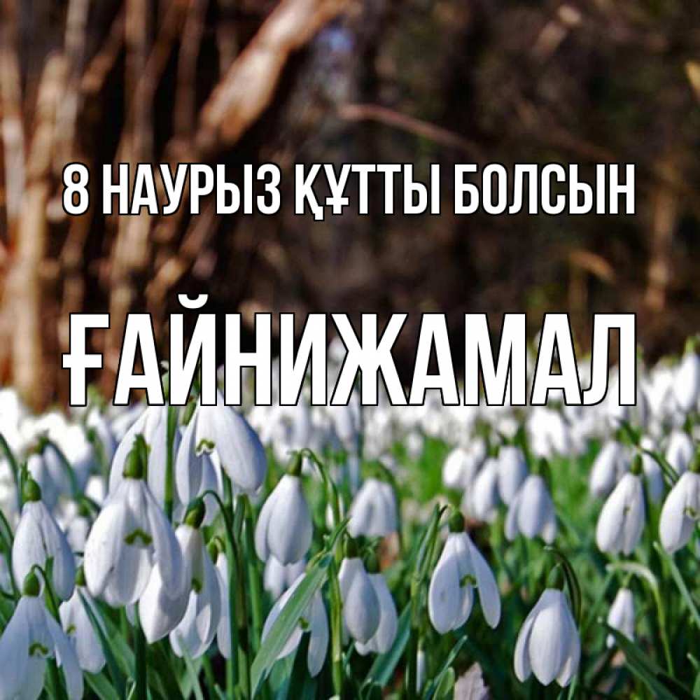 Күн сайын ашық хат с именем, ҒАЙНИЖАМАЛ 8 наурыз құтты болсын с подснежниками 1 Онлайн тегін жүктеп алу тілектері бар керемет карта 
