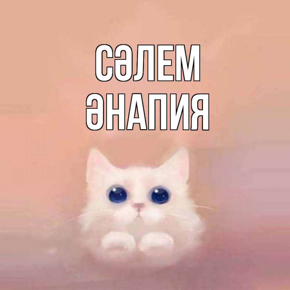 Күн сайын ашық хат с именем, ӘНАПИЯ Сәлем котик белый в полете Онлайн тегін жүктеп алу тілектері бар керемет карта 