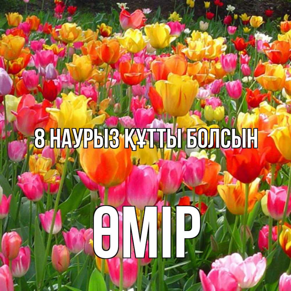 Күн сайын ашық хат с именем, ӨМІР 8 наурыз құтты болсын на международный женский день Онлайн тегін жүктеп алу тілектері бар керемет карта 