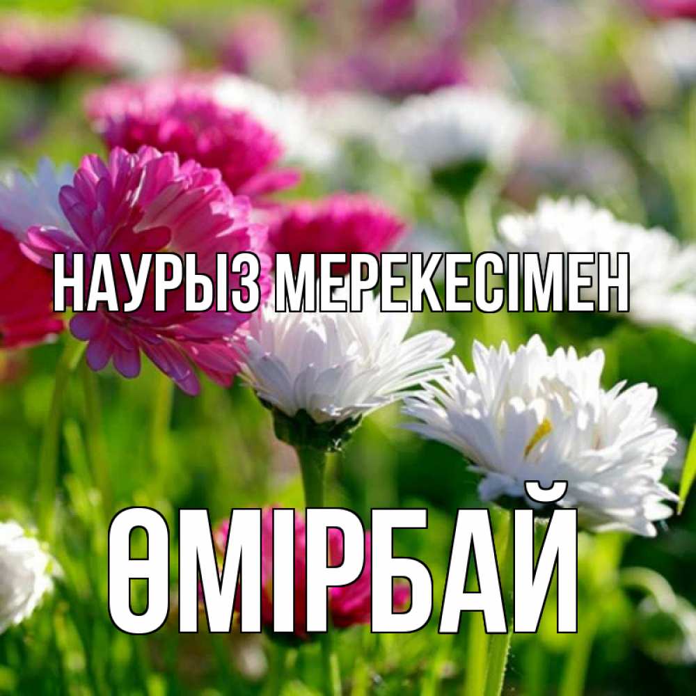 Күн сайын ашық хат с именем, ӨМІРБАЙ Наурыз мерекесімен праздник весны наурыз красота Онлайн тегін жүктеп алу тілектері бар керемет карта 