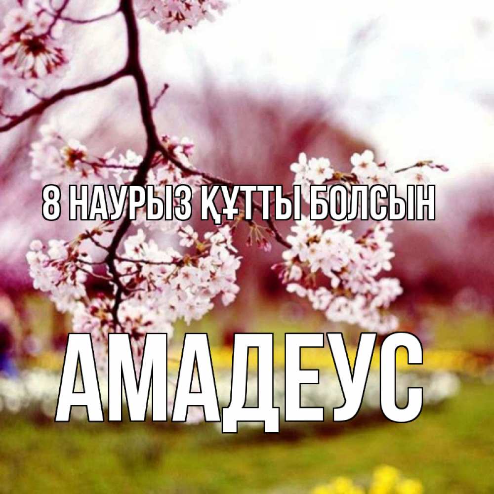 Күн сайын ашық хат с именем, Амадеус 8 наурыз құтты болсын яблоня Онлайн тегін жүктеп алу тілектері бар керемет карта 