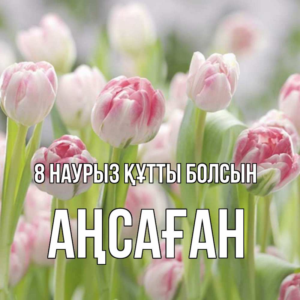 Күн сайын ашық хат с именем, Аңсаған 8 наурыз құтты болсын цветы Онлайн тегін жүктеп алу тілектері бар керемет карта 