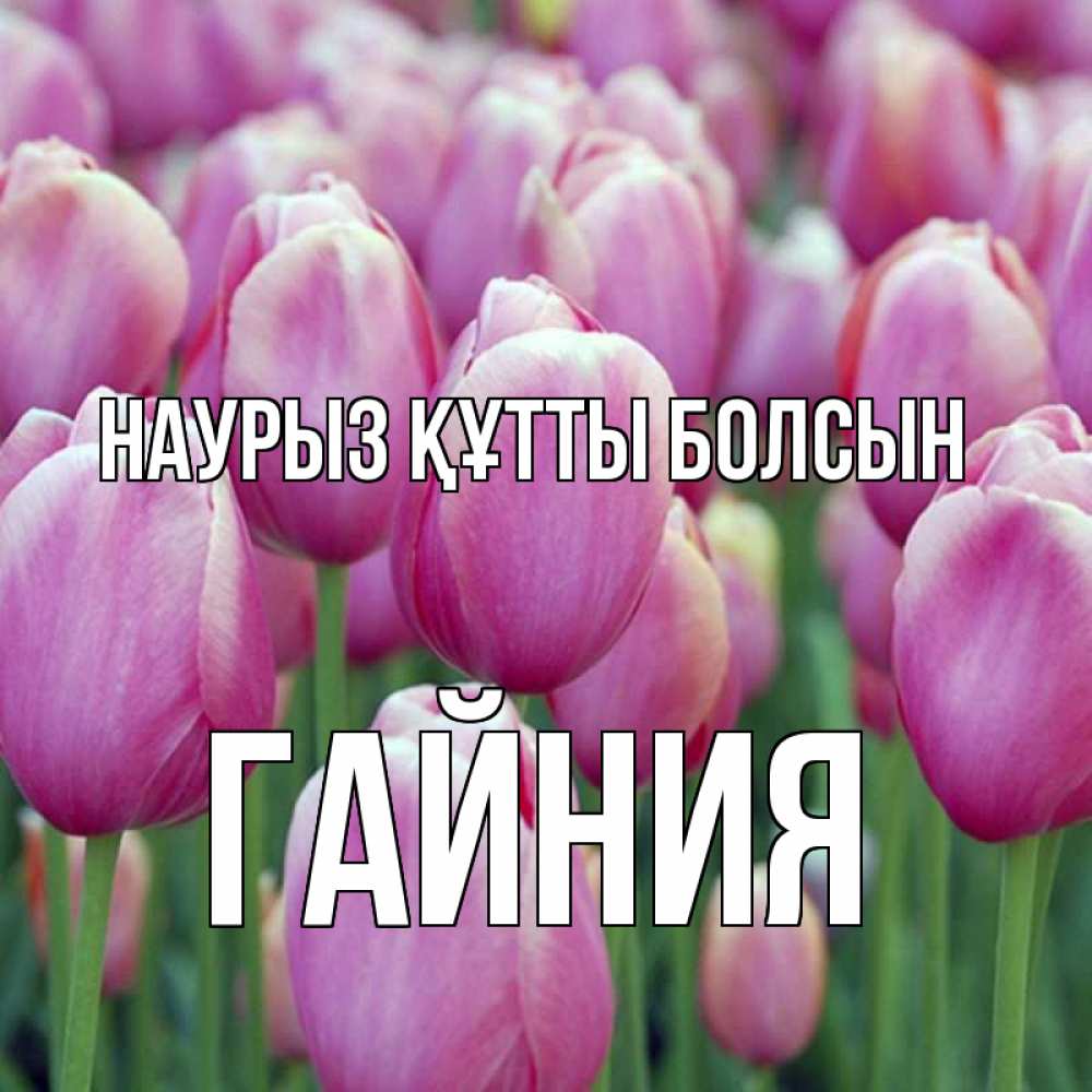 Күн сайын ашық хат с именем, ГАЙНИЯ Наурыз құтты болсын на наурыз  день 3 Онлайн тегін жүктеп алу тілектері бар керемет карта 