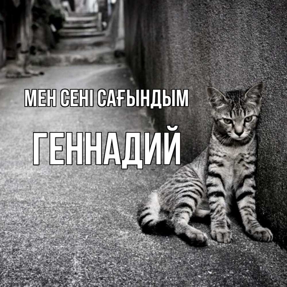 Күн сайын ашық хат с именем, Геннадий Мен сені сағындым одиноко котику Онлайн тегін жүктеп алу тілектері бар керемет карта 