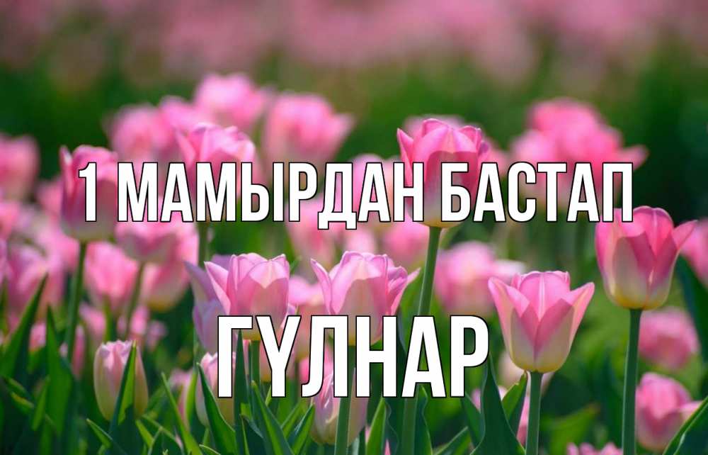 Күн сайын ашық хат с именем, ГҮЛНАР 1 мамырдан бастап С 1 мая Онлайн тегін жүктеп алу тілектері бар керемет карта 