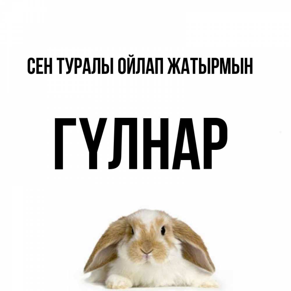 Күн сайын ашық хат с именем, ГҮЛНАР Сен туралы ойлап жатырмын подписать своими руками онлайн Онлайн тегін жүктеп алу тілектері бар керемет карта 