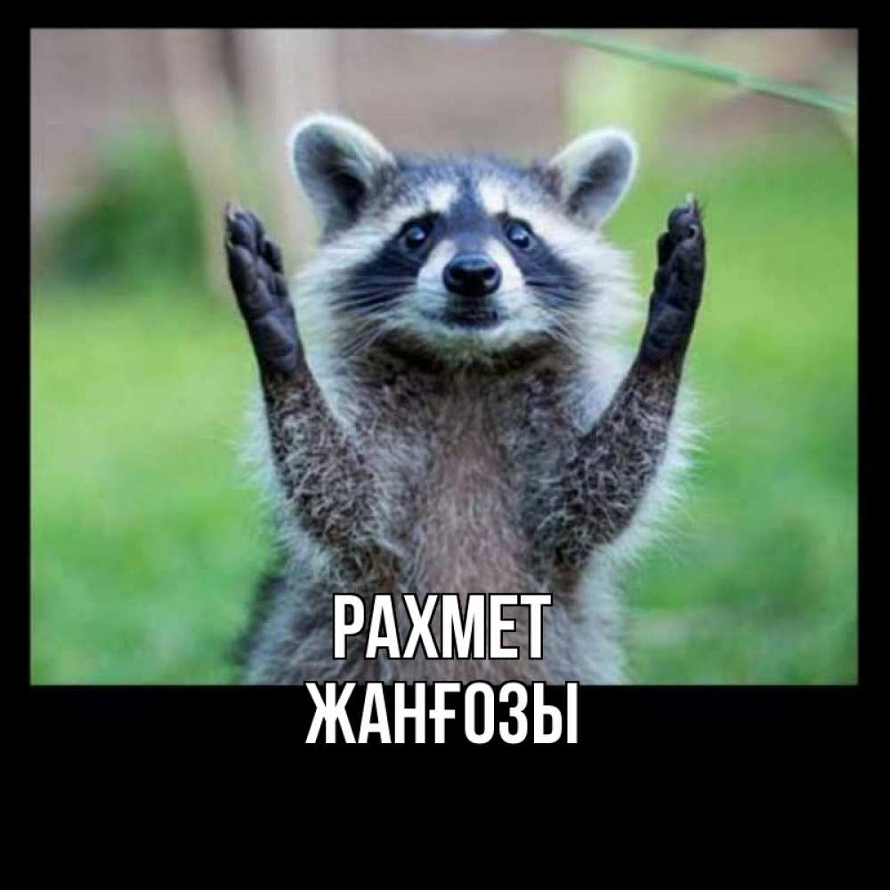 Күн сайын ашық хат с именем, Жанғозы рахмет милые животные Онлайн тегін жүктеп алу тілектері бар керемет карта 