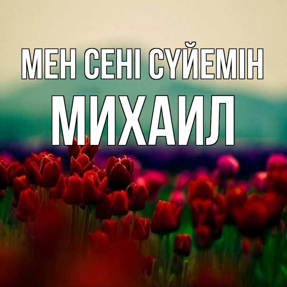 Күн сайын ашық хат с именем, Михаил Мен сені сүйемін тюльпаны 4 Онлайн тегін жүктеп алу тілектері бар керемет карта 