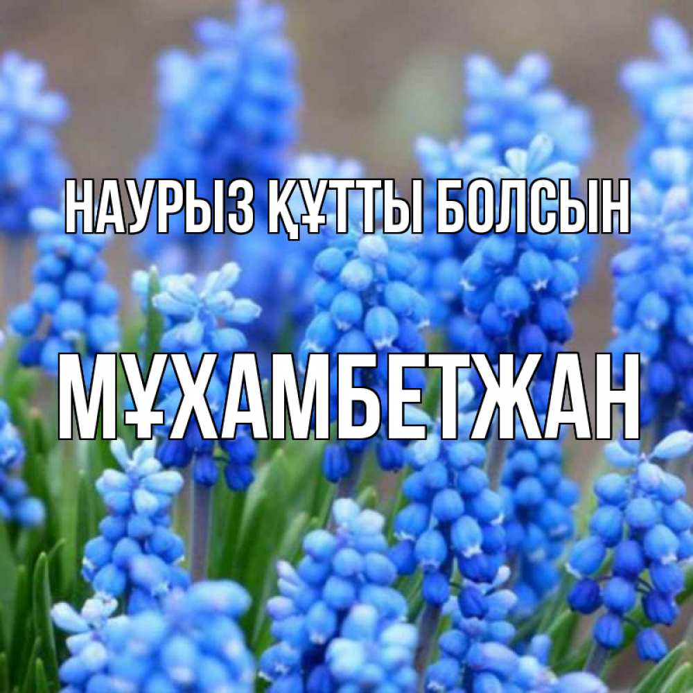 Күн сайын ашық хат с именем, МҰХАМБЕТЖАН Наурыз құтты болсын Поздравительная открытка для женщин с цветами на праздничную дату Онлайн тегін жүктеп алу тілектері бар керемет карта 