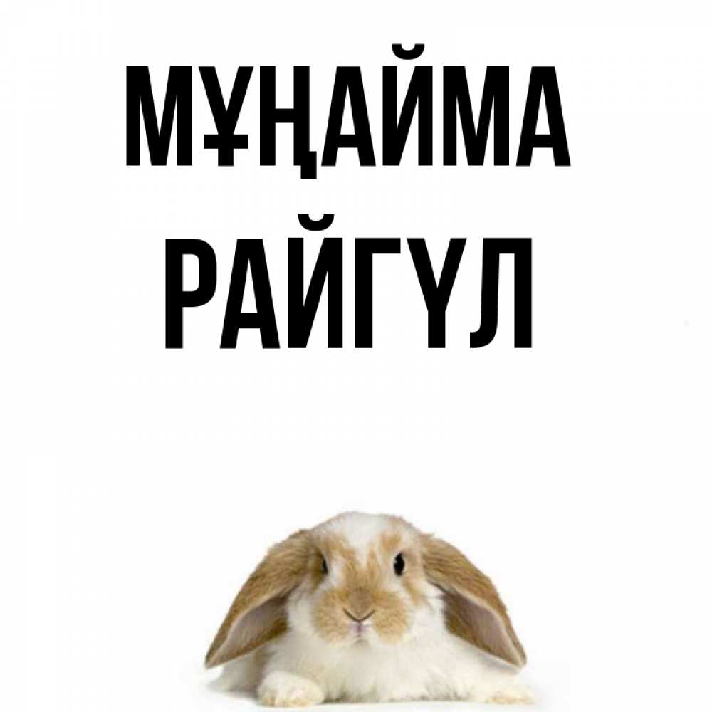 Күн сайын ашық хат с именем, РАЙГҮЛ Мұңайма коричнево белый заяц с большими ушками Онлайн тегін жүктеп алу тілектері бар керемет карта 