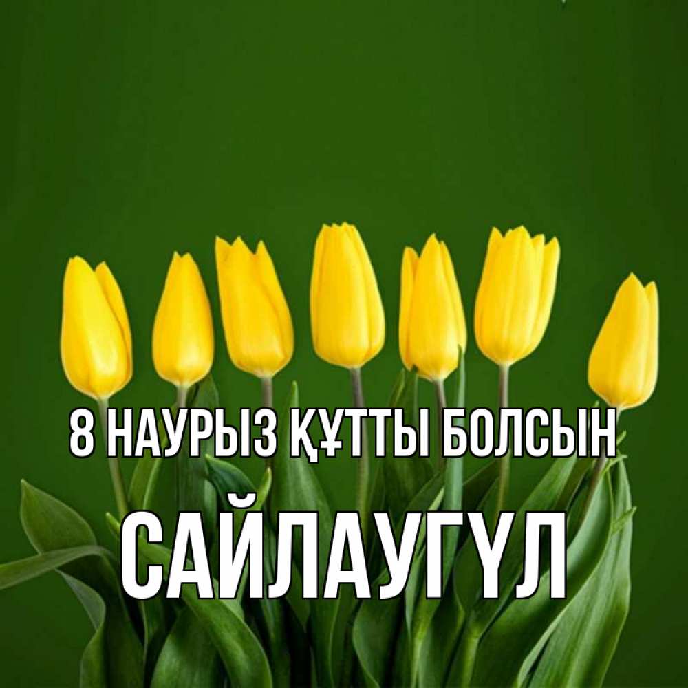 Күн сайын ашық хат с именем, САЙЛАУГҮЛ 8 наурыз құтты болсын желтого цвета 3 Онлайн тегін жүктеп алу тілектері бар керемет карта 