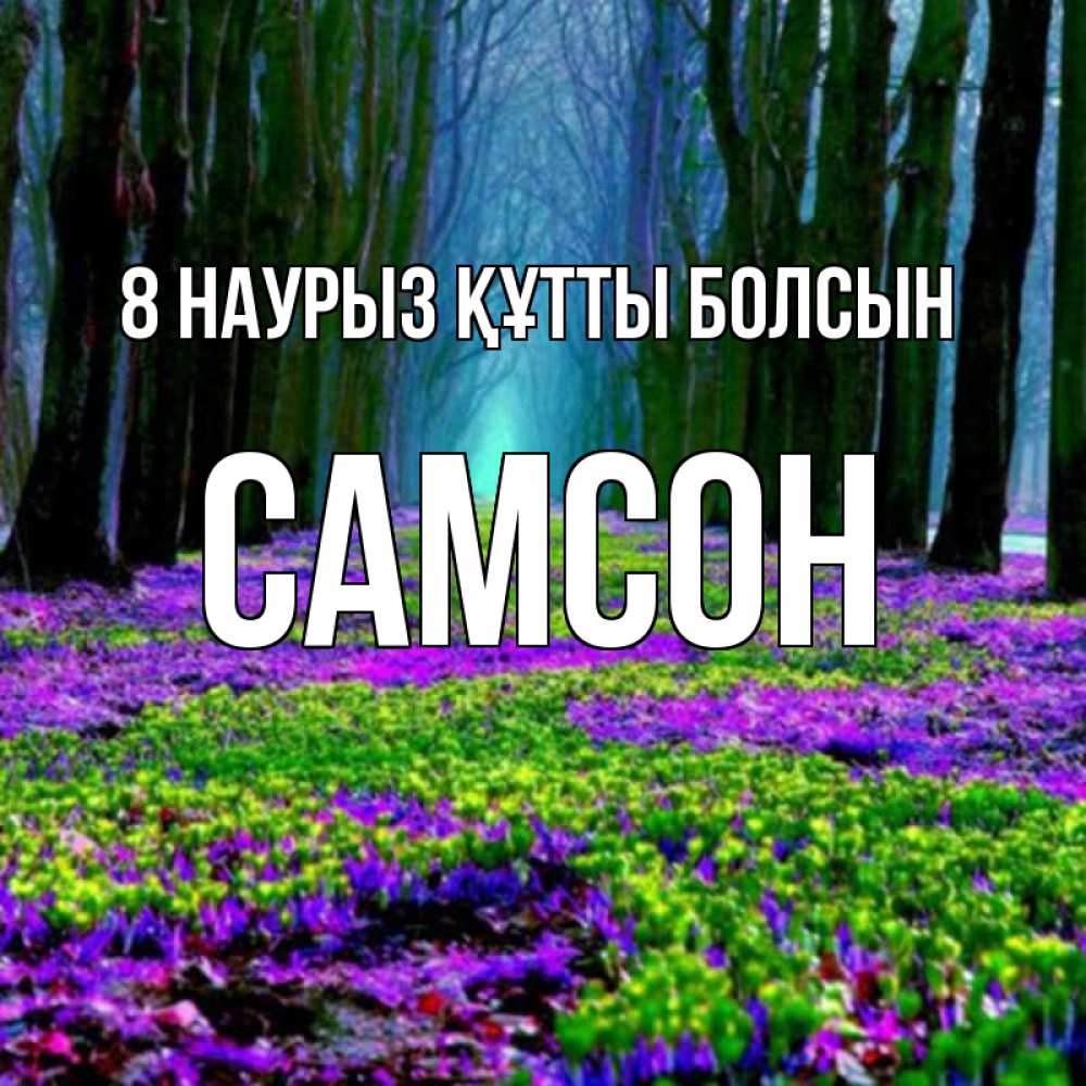 Күн сайын ашық хат с именем, Самсон 8 наурыз құтты болсын фиолетовые цветы в лесу 1 Онлайн тегін жүктеп алу тілектері бар керемет карта 