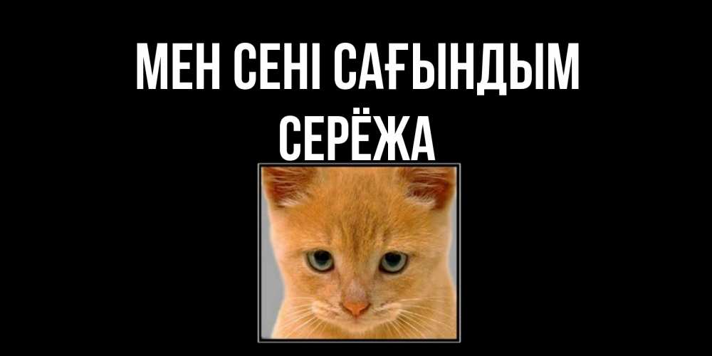 Күн сайын ашық хат с именем, Серёжа Мен сені сағындым открытки рыжий котенок скучает по тебе Онлайн тегін жүктеп алу тілектері бар керемет карта 